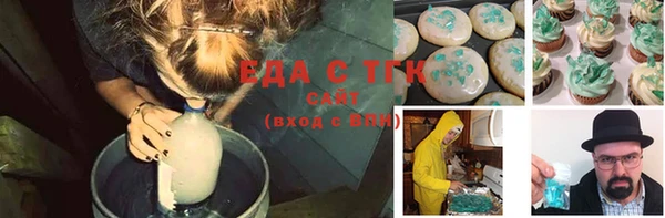 хмурый Бородино