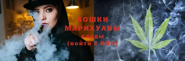 хмурый Бородино