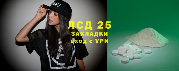 хмурый Бородино