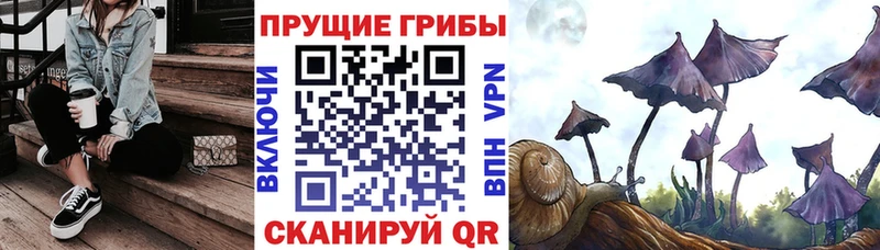 Галлюциногенные грибы прущие грибы  OMG ССЫЛКА  Княгинино  даркнет сайт 